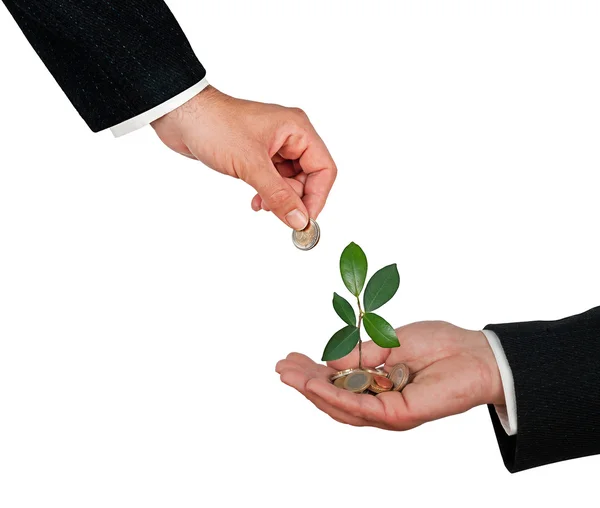 Palm with a sapling growng from pile of coins — Stock Photo, Image