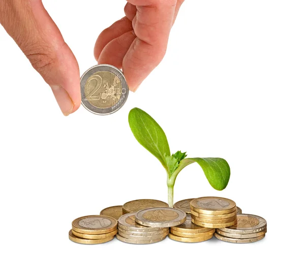 Investing to green — Stock Photo, Image