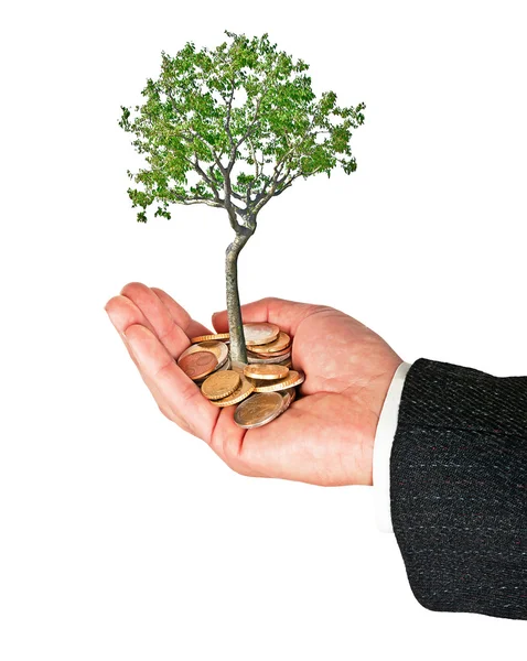 Palma com uma árvore crescida de pilha de moedas — Fotografia de Stock