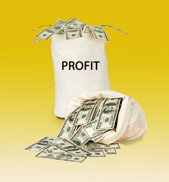 Bag with profit — Stock Photo, Image