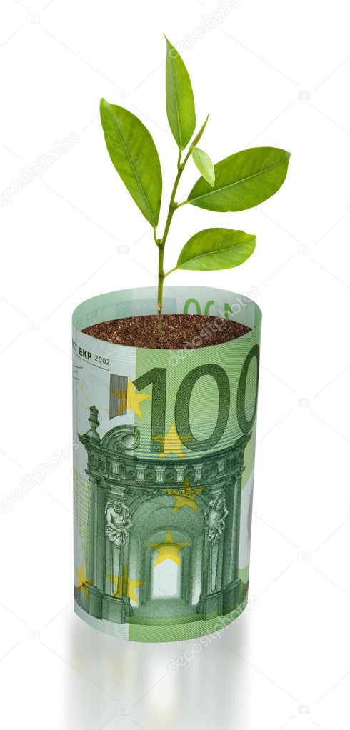 Orange tree sapling growing from euro bill