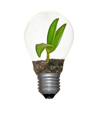 Incandescent light bulb with a plant as the filament clipart