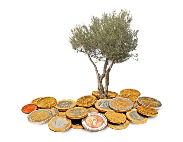 Olive tree growing from pile of coins — Stock Photo, Image