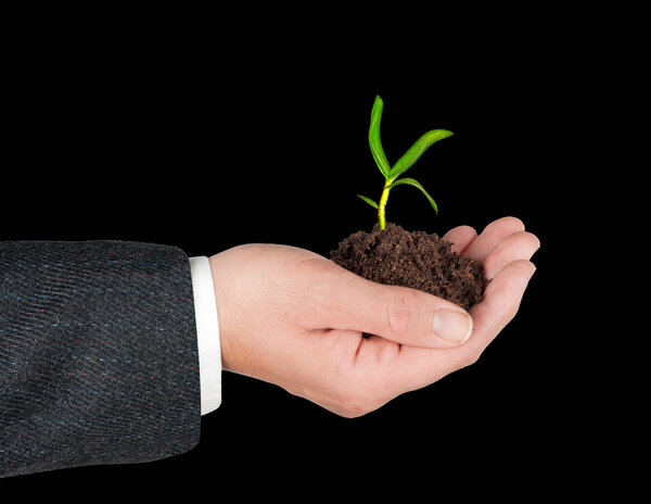Seedling in hand