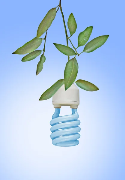 Symbol of green energy — Stock Photo, Image