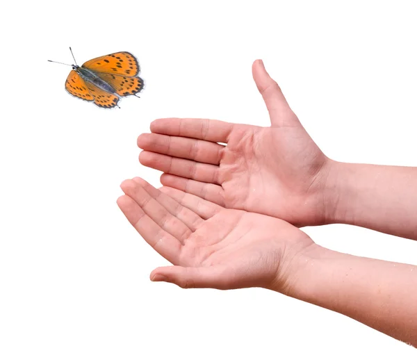 Πεταλούδα που φέρουν από τα χέρια — Φωτογραφία Αρχείου