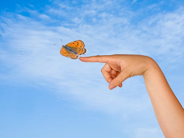 Butterfly and hand — Stock Photo, Image