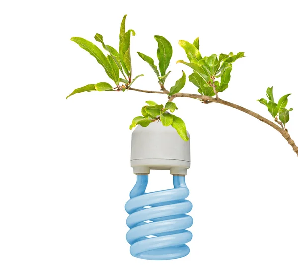 Symbol för grön energi — Stockfoto
