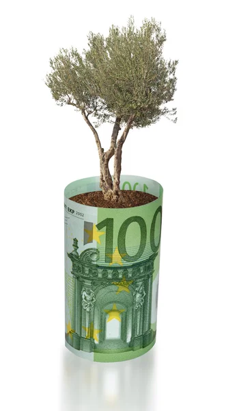 Drzewo oliwne rośnie z rachunku euro — Zdjęcie stockowe