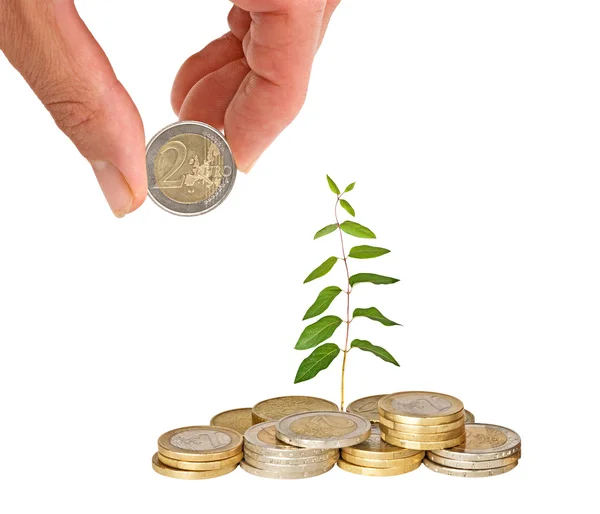 Inwestycje na zielony — Zdjęcie stockowe