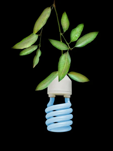 グリーン エネルギーのシンボル — ストック写真