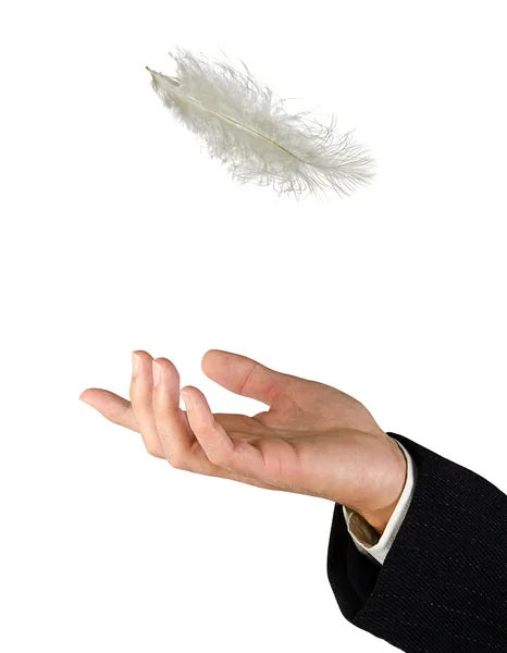 Detailní záběr bílé peří, spadající do ruky — Stock fotografie