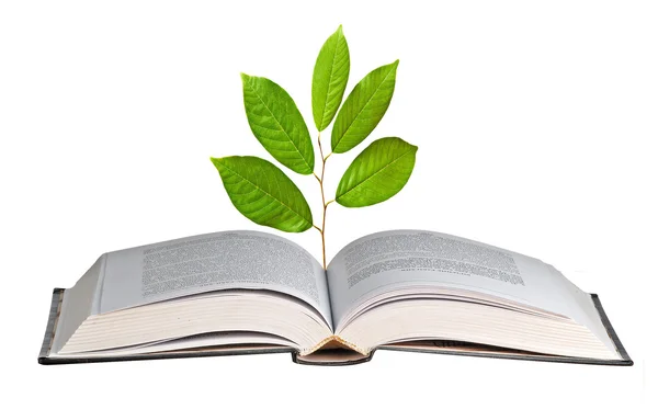 Plantgoed groeien uit open boek — Stockfoto