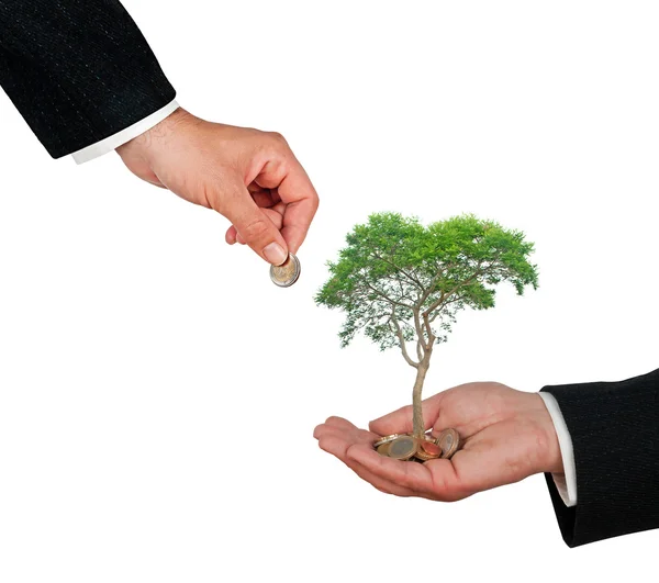 Árbol creciendo a partir de monedas — Foto de Stock