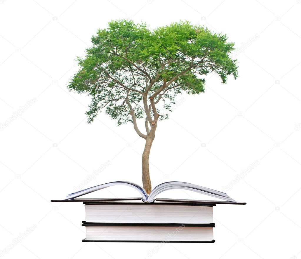 Tree growing from book