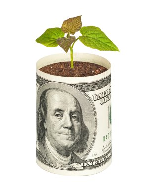 Tree growing from dollar bill clipart