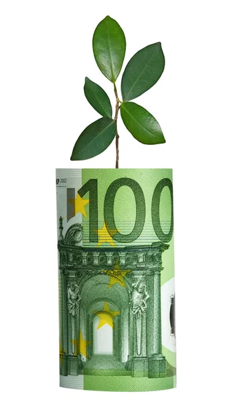 ユーロ紙幣から成長する苗木 — ストック写真