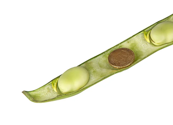 흰 배경에서 분리 된 녹색 콩 과 주화 — 스톡 사진