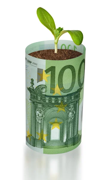 Crescimento do rebento a partir da factura do euro — Fotografia de Stock