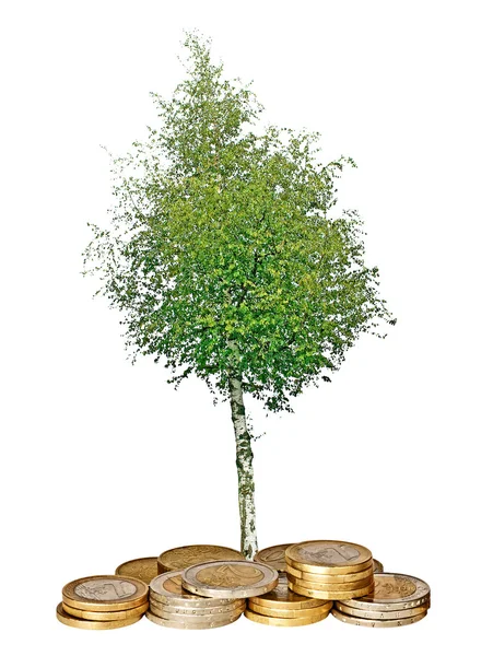 Δέντρο καλλιέργεια από σωρό κέρματα — Φωτογραφία Αρχείου