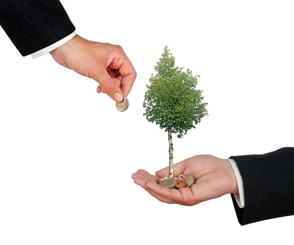 Investimento em empresas ecológicas — Fotografia de Stock