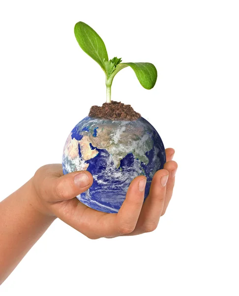 Hand with planet Earth — Stock Photo, Image