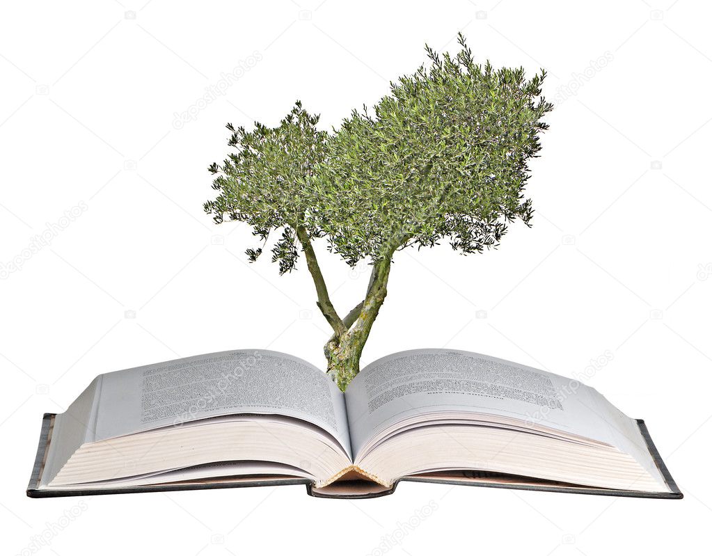 Olive tree growing from book