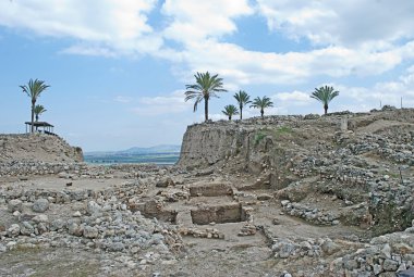 Palms at Megiddo clipart