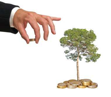 Tree growing from coins clipart