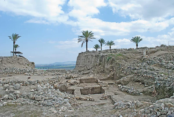 Palmer vid megiddo — Stockfoto