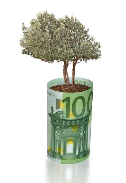 Olive tree growing from euro bill — Stock Photo, Image
