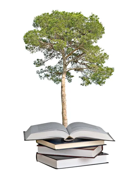 本书从生长的松树树 — 图库照片