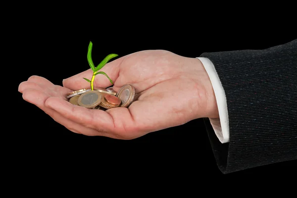 stock image Palm with an orhid seedling growng from pile of coins