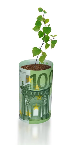 Planta som växer från eurosedeln — Stockfoto