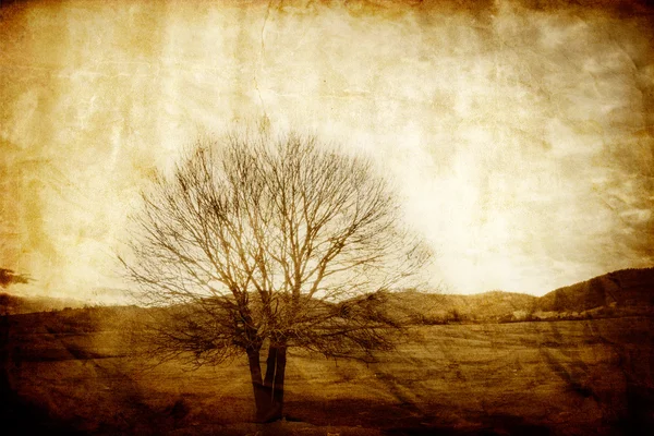 Фон старинного дерева — стоковое фото