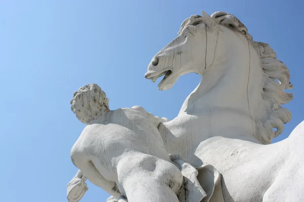 Лошадь и человек — стоковое фото