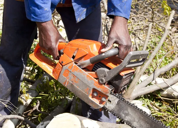 Man cutting tree with chain saw — Stock Photo, Image