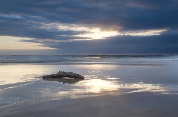Východ slunce krajina s log na pláži — Stock fotografie
