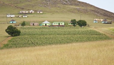 hutjes in transkei Zuid-Afrika corrigated ijzer