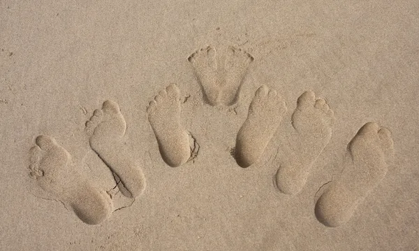 Footprints of a family in the sand on beach — Stock Photo, Image