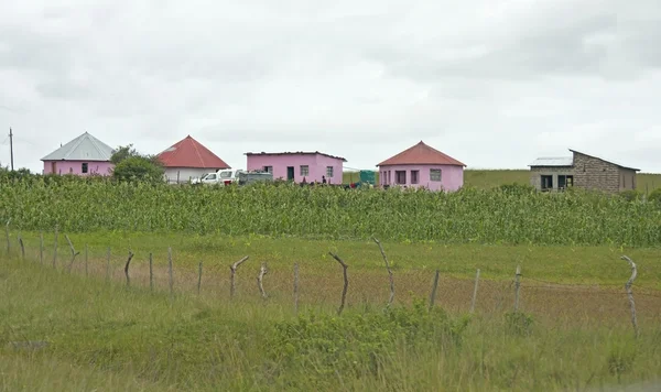 Pink houses of poor in Transkei South Africa