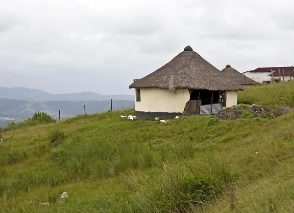 トランスカイ南アフリカ共和国のわらぶき屋根の壊れた家 — ストック写真