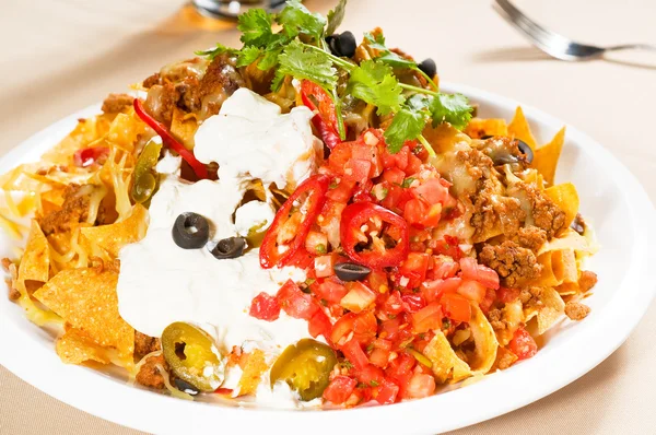 stock image Fresh nachos and vegetable salad with meat