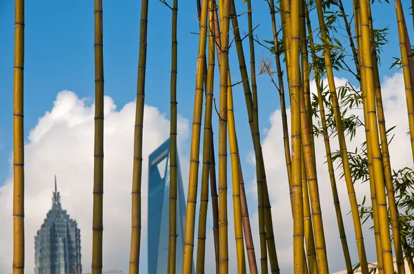 上海从浦西浦东视图 — 图库照片