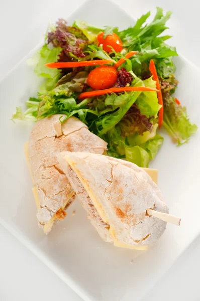 Ton balığı ve peynirli sandviç salata ile — Stok fotoğraf