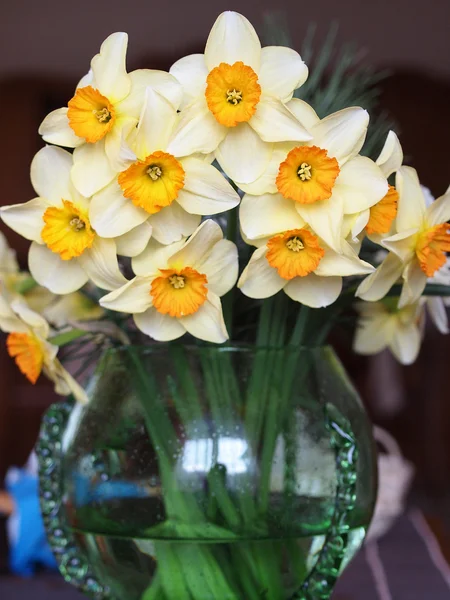 黄色の水仙の花束 — ストック写真