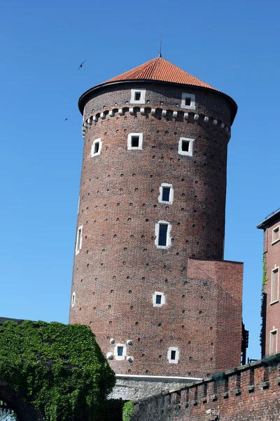 Wawel Hill a královský hrad v Krakově — Stock fotografie