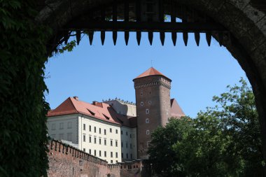 Wawel Tepesi ve Krakow 'daki Kraliyet Kalesi