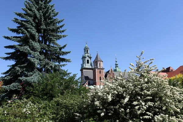 Wawel Hill en het Koninklijk Kasteel in Krakau — Stockfoto