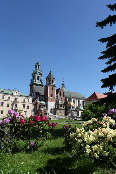 Wawel Hill en het Koninklijk Kasteel in Krakau — Stockfoto